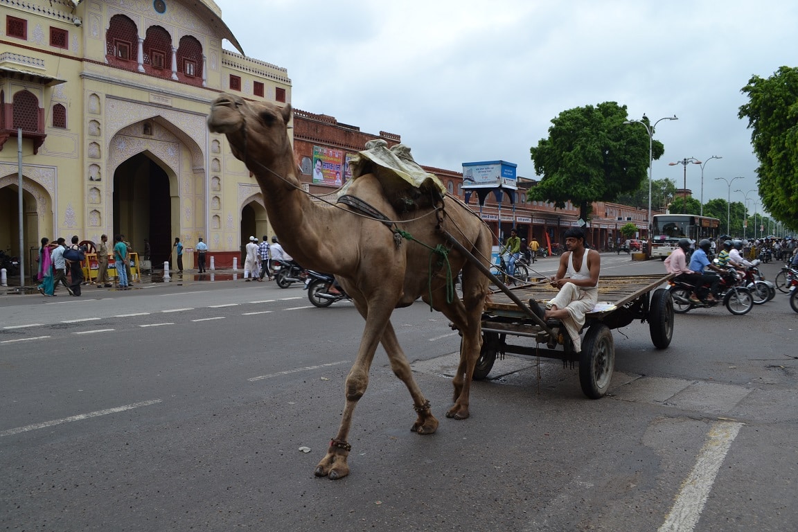 jaipur radjastan