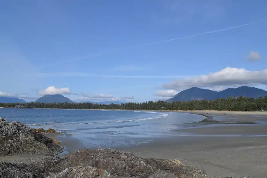 tofino 101