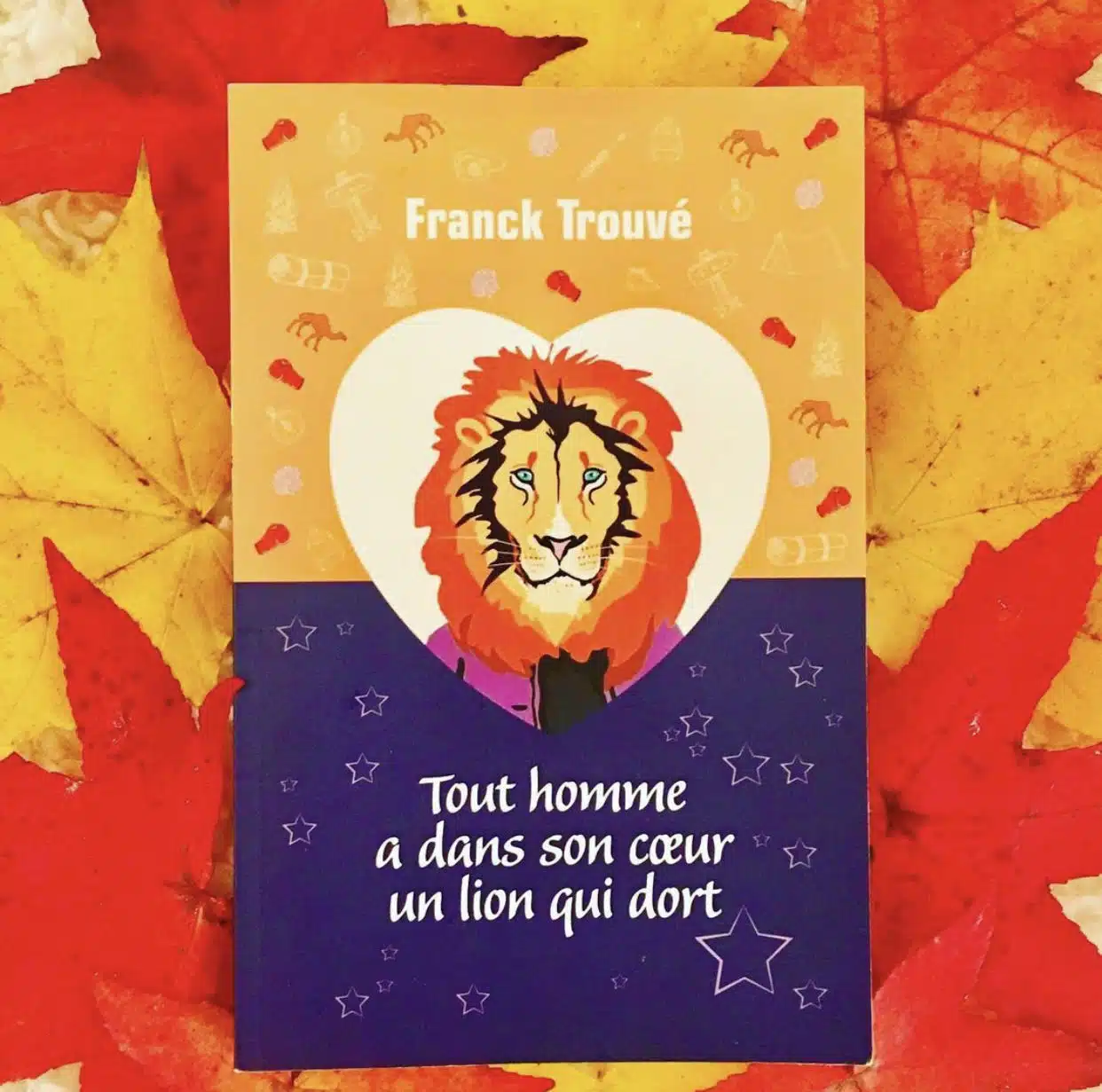 tout homme a dans son coeur un lion qui dort roman franck trouve 1