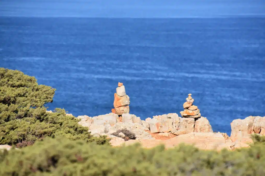 vicentina 6